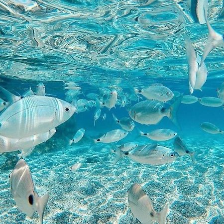 Apartamento El Playaiso De Aguamarga Agua Amarga  Exterior foto